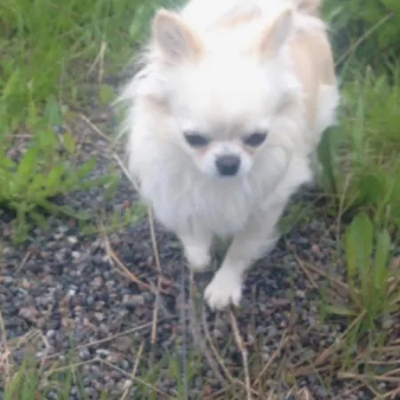 Rom Sentralt I 特罗姆瑟